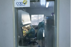 from clipboard from clipboard