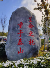 from clipboard from clipboard