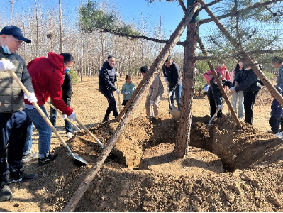 from clipboard from clipboard