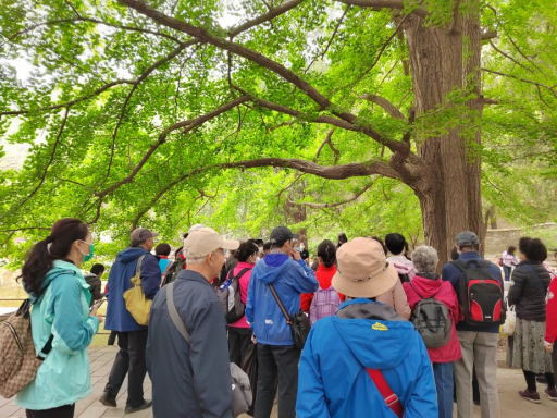 from clipboard from clipboard